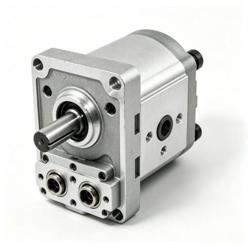 CBS/F-D300 Series Bidirectional Composite Gear Pump