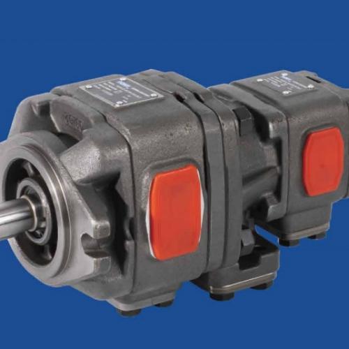 >FG SERIES HIGH PERFORMANCE SINGLE PUMP
