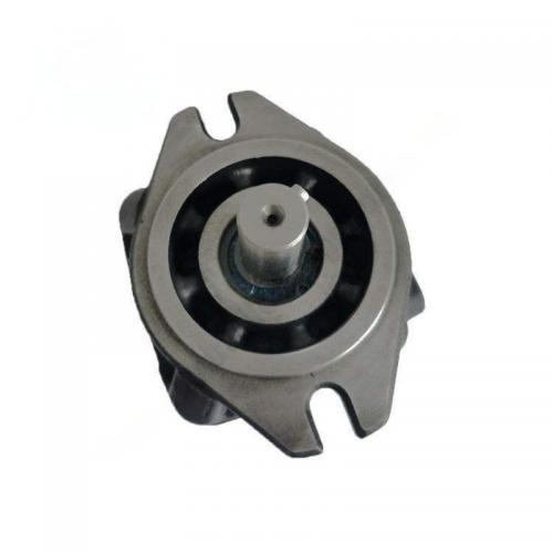 SY0 / SY1 / SY2 Series Low Noise High Pressure Internal Gear Pump