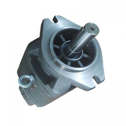 SY10 SY11 SY21 SY22 Series Tandem Internal Gear Pump
